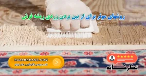 روشهای موثر برای از بین بردن زردی ریشه فرش