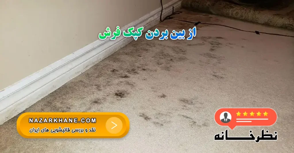 از بین بردن کپک فرش