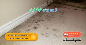 از بین بردن کپک فرش