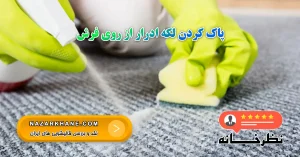 پاک کردن لکه ادرار از روی فرش