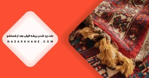 علت زرد شدن ریشه های فرش
