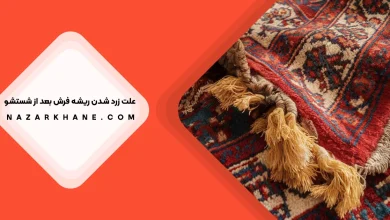 علت زرد شدن ریشه های فرش