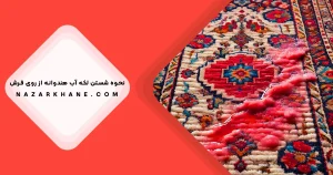 بهترین روش پاک کردن آب هندوانه از روی فرش