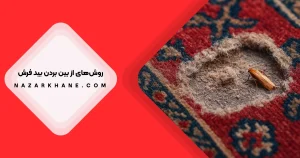 جلوگیری از بید زدگی فرش