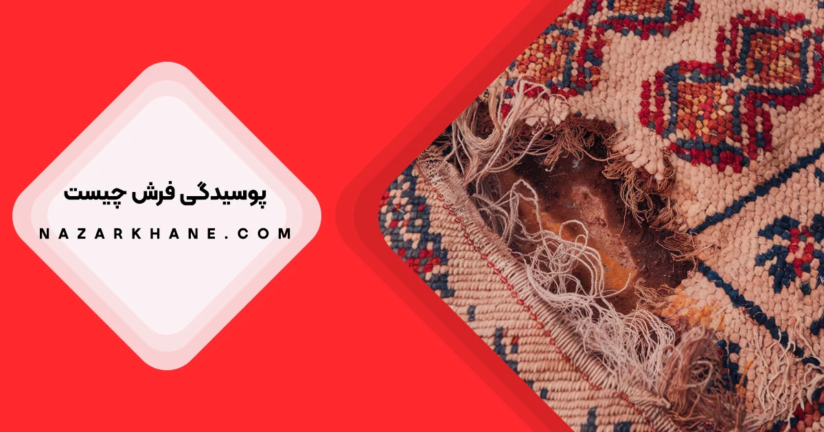 پوسیدگی فرش چیست؟