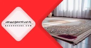 پاک کردن لکه استفراغ از فرش