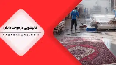 قالیشویی در موحد دانش تهران